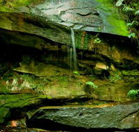 Strickland State Forest - Melbourne Tourism