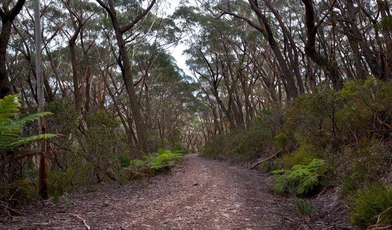 Yadboro NSW Melbourne Tourism