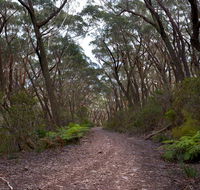 Budawang National Park - Melbourne Tourism