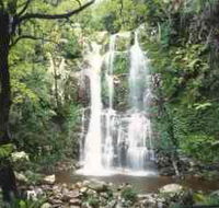 Budderoo National Park - The Falls Walk - Melbourne Tourism
