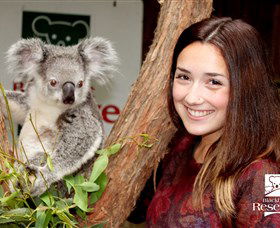 New Lambton NSW Melbourne Tourism