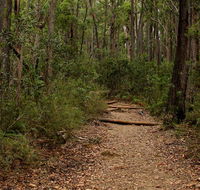 Pigeon House Mountain Didthul walking track - Melbourne Tourism