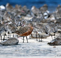 Cooloola Nature - Melbourne Tourism