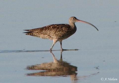 Cooloola Nature - Melbourne Tourism 3
