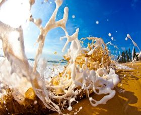 Saltmotion Gallery - Melbourne Tourism 1