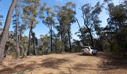 Wadbilliga Road Drive - Melbourne Tourism 0