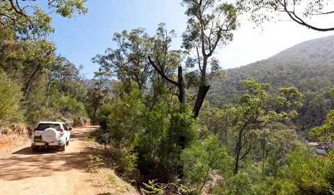 Wadbilliga Road Drive - Melbourne Tourism 1