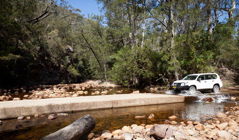 Wadbilliga Road Drive - Melbourne Tourism 2