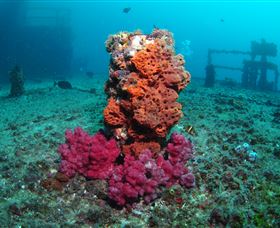 HMAS Brisbane Dive Site - Melbourne Tourism 0