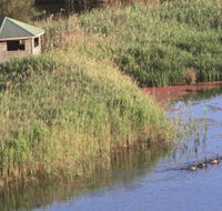 Spring Creek Bird Hide - Melbourne Tourism