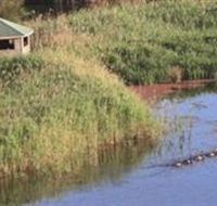 Spring Creek Wetlands Walk - Melbourne Tourism