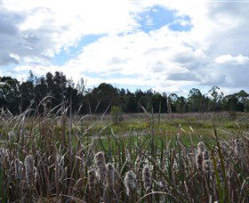 Jabiru Geenbeebeinga Wetlands - Melbourne Tourism 1