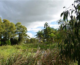 Jabiru Geenbeebeinga Wetlands - Melbourne Tourism 2