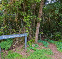 Falcorostrum loop walking track - Melbourne Tourism