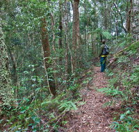 Blackbutt walking track - Melbourne Tourism