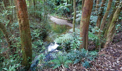 Blackbutt Walking Track - Melbourne Tourism 1