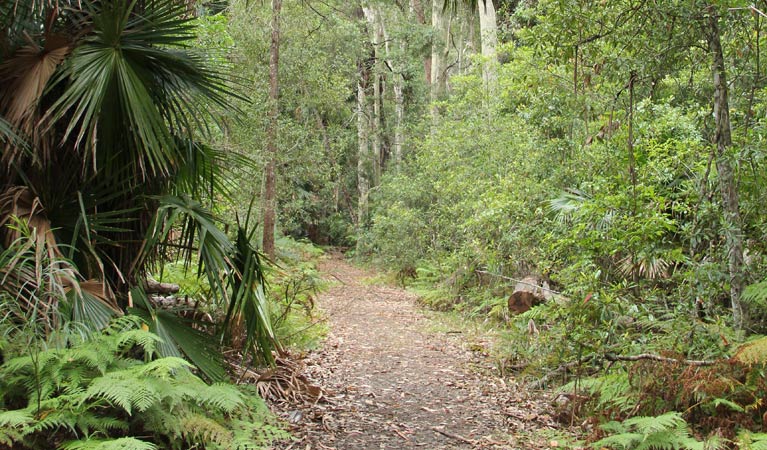 East Lynne NSW Melbourne Tourism
