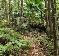 Durras Lake Discovery trail - Melbourne Tourism