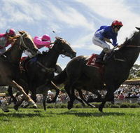 Moruya Racecourse - Melbourne Tourism