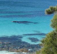 Jervis Bay Marine Park - Melbourne Tourism