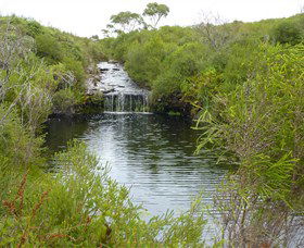 Booderee National Park: Green Patch And Telegraph Creek Walking Tracks - Melbourne Tourism 0