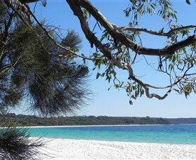 Booderee National Park: Green Patch And Telegraph Creek Walking Tracks - Melbourne Tourism 6
