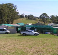 Tinonee Orchid Nursery - Melbourne Tourism