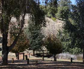 Oak Grove Walk, Balingup - Melbourne Tourism 2