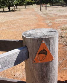 Oak Grove Walk, Balingup - Melbourne Tourism 3
