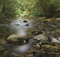 Plateau Circuit loop trail - Melbourne Tourism
