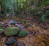 Starrs Creek picnic area - Melbourne Tourism