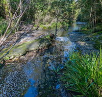 Dawson River walking track - Melbourne Tourism