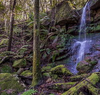 Coorabakh National Park - Melbourne Tourism