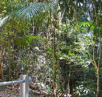 Goorgana walking track