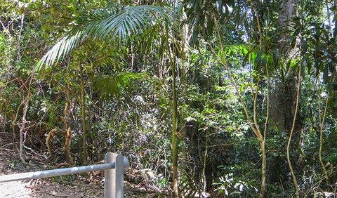 Goorgana Walking Track - Melbourne Tourism 0