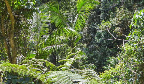Goorgana Walking Track - Melbourne Tourism 1