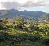 Mount Nardi picnic area - Melbourne Tourism