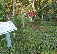 Coramba Nature Reserve - Melbourne Tourism