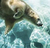 Australia's Sea World - Melbourne Tourism