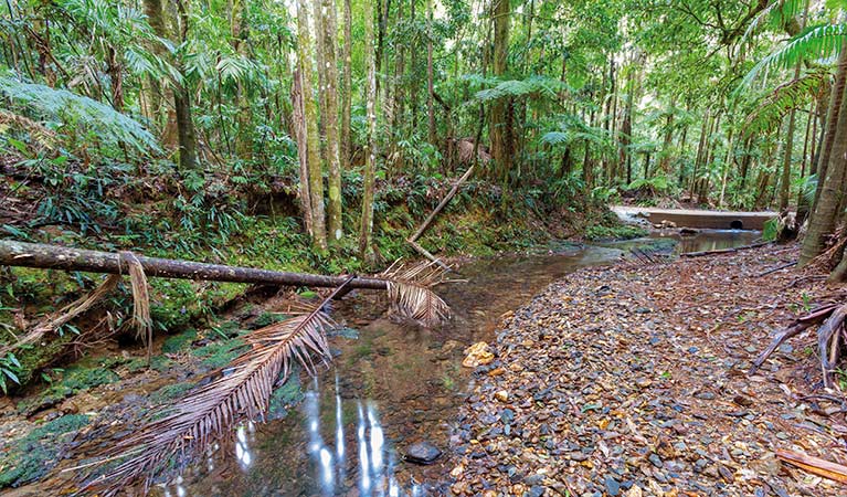 Karangi NSW Melbourne Tourism