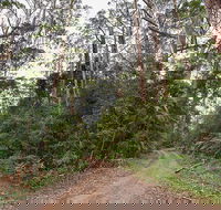 End Peak walking track - Melbourne Tourism