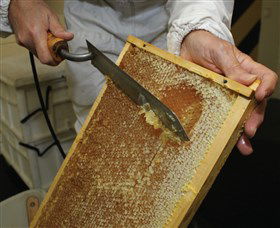 Superbee Honeyworld Gold Coast - Melbourne Tourism 2