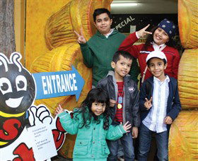 Superbee Honeyworld Gold Coast - Melbourne Tourism 3