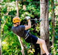 TreeTop Challenge Currumbin - Melbourne Tourism