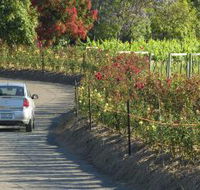 Cassegrain Wines - Melbourne Tourism