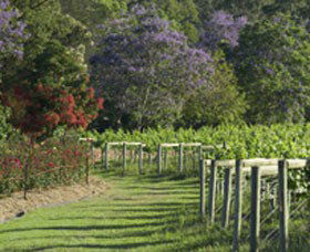 Cassegrain Wines - Melbourne Tourism 1