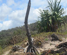 Chinamans Beach Evans Head - Melbourne Tourism 2
