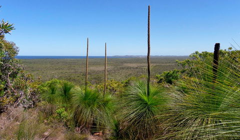 Broadwater National Park - Melbourne Tourism 1