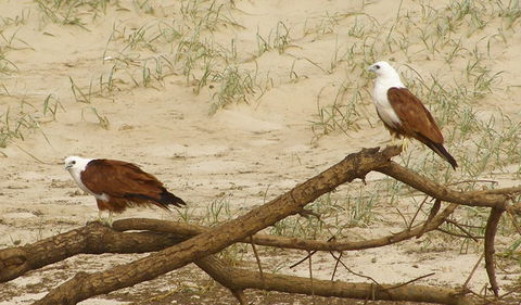 Broadwater National Park - Melbourne Tourism 2