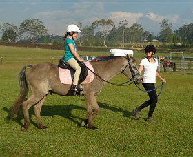 Port Macquarie Horse Riding Centre - Melbourne Tourism 0